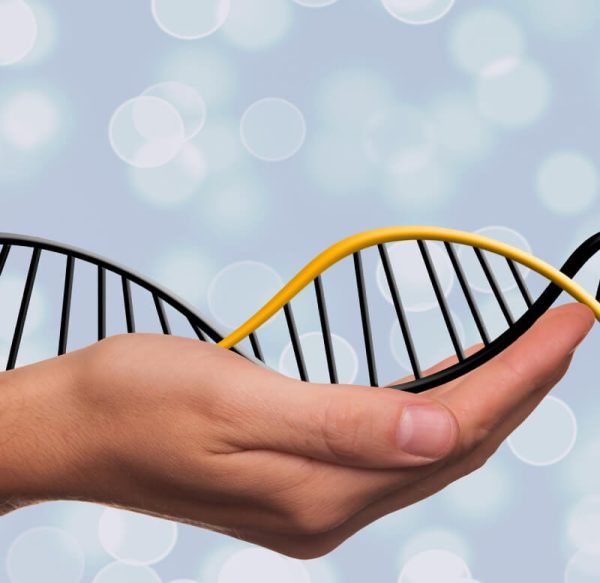 Impressão Digital Genética (perfil de ADN)